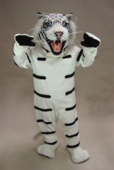 Albino Tiger
