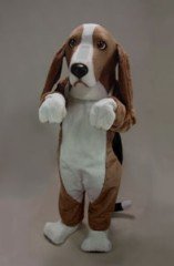 Basset Hound