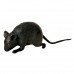 Mini Black Mouse