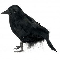 4" Small Feathered Raven