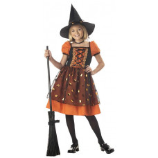 Pretty Pumpkin Witch Costume