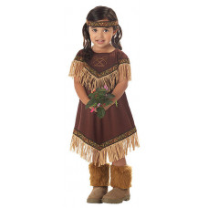 Lil' Indian Princess Costume