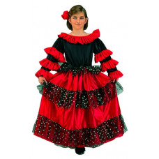 Spanish Beauty Costume