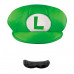 Luigi Accessory Kit