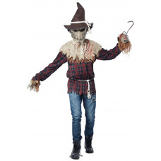Sadistic Scarecrow Costume