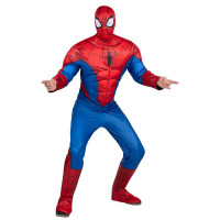 Spider-Man Costume