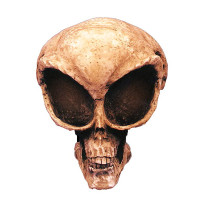 Alien Skull