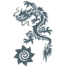 Dragon and Star Tattoo