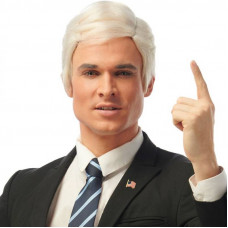 Candidate Wig