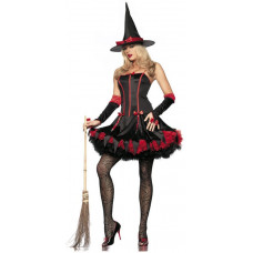 Fashion Witch Costume