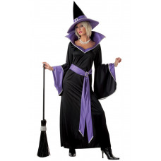 Incantasia Witch Costume