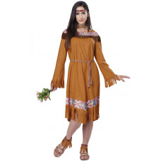 Classic Indian Maiden Costume