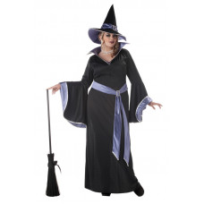 Incantasia Witch Plus Size Costume