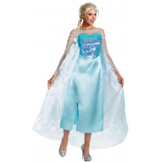 Elsa Snow Queen Costume