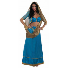 Bollywood Beauty Deluxe Costume