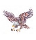Soaring Eagle
