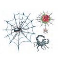 Spider / Scorpion