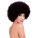 Afro Wig